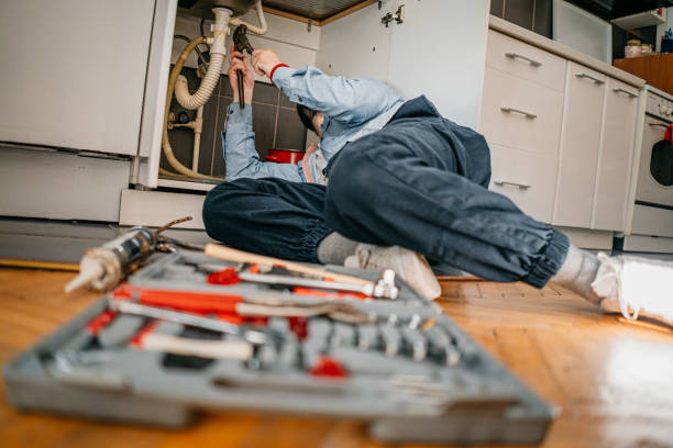 Best Plumbing Services Near Me  in Black Diamond, FL