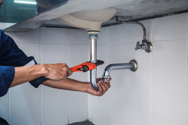 Best Residential Plumbing Services  in Black Diamond, FL