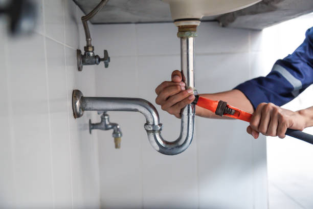 Best Affordable Plumber Near Me  in Black Diamond, FL