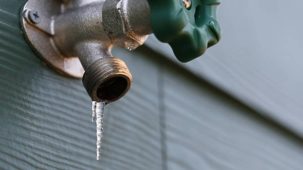 Best Sewer Line Replacement  in Black Diamond, FL