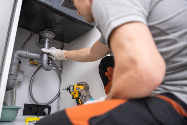 Best Affordable Plumbing Services  in Black Diamond, FL